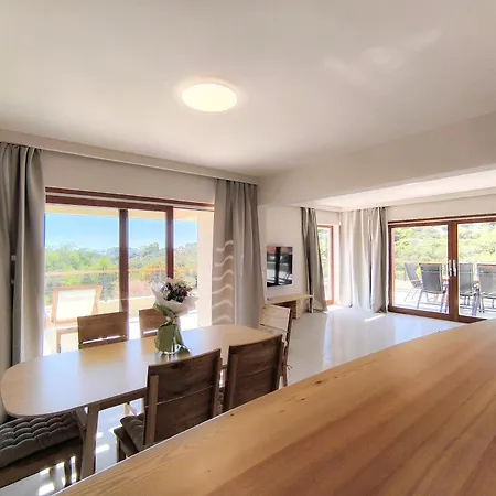 Luxurious Penthouse With A Swimming Pool Near Slanica Id 114 Apartment *