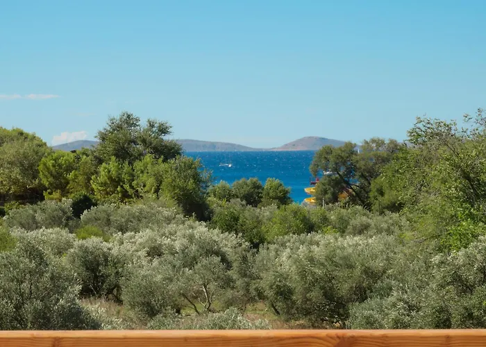 Exceptional Penthouse With Magic Seaview - Location דירה *