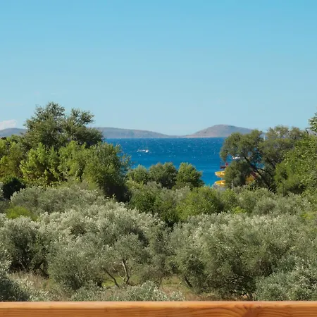 Exceptional Penthouse With Magic Seaview - Location Appartement *